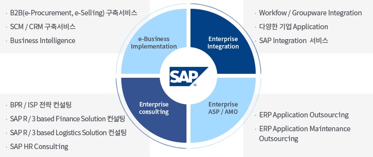 sap consulting