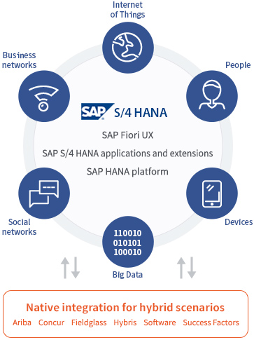 sap consulting