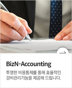 BizN-Accounting